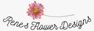 Renes Flower Designs - Barberton Daisy #7799406