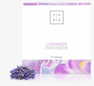 Tea Box Lavender - Buddleia #7799532