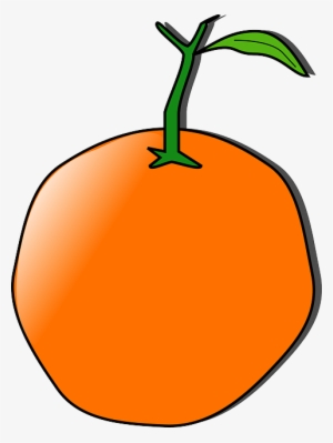 Food, Fruit, Outline, Pena, Cartoon, Orange, Cartoons - Orange Clip Art #780066