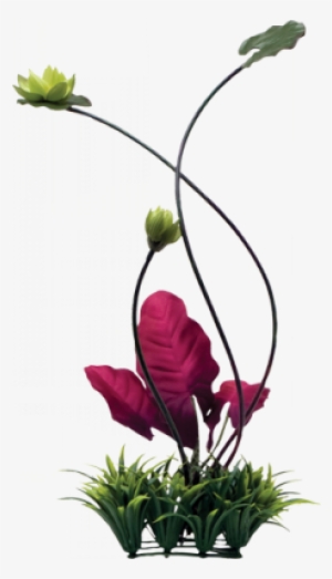 Nature-inspired Fluval Chi Lily Pad And Plant Grass - Fluval Chi Lily Pad And Plant Grass Ornament #781011