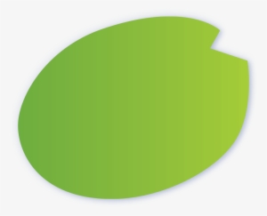 Lily Pad Clipart Pond Life - Pond Leaf Clipart Png #781072