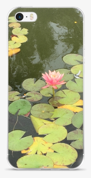 Casetiful Exclusives / Iphone 7 Lily Pad In The Lake - Mobile Phone #781636