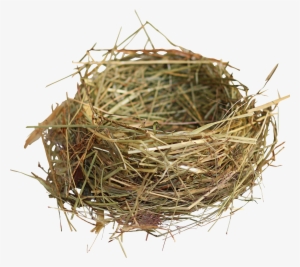 Edible S Birds Transprent - Nest Of Birds Png #782055