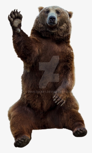 Brown Bear On A Transparent Background - Bear #782288 Brown Bear On A Transparent Background - Bear #782288