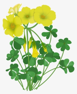 Lily Pad Clipart Single - Flower #782289