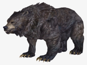 Skyrim Bear #782682 Skyrim Bear #782682