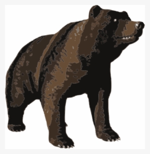 Medium Image - Custom Grizzly Bear Shower Curtain - Free Transparent 