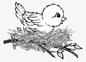Picture Transparent Collection Of High Quality - Bird In Nest Clip Art #782842