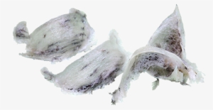 Birds Nest - Png Birdsnest #782917