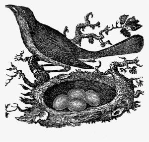 Bird Nest Drawing - Stamp Design Of Nest #782923
