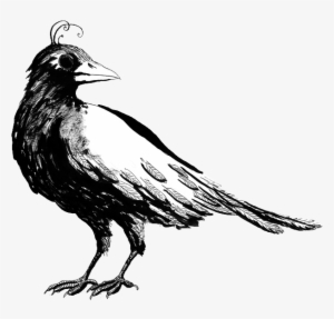 Birdnest - Rook #783146