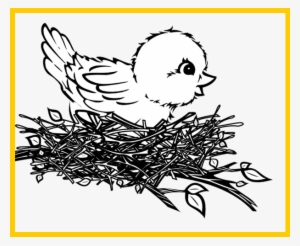 Bird Nest - Bird In Nest Clip Art #783258