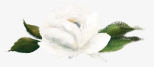 Option-1 - Portable Network Graphics #783721