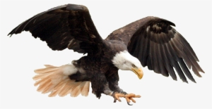 Americanflat United States America Flag Shower Curtain #784129