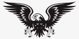 Mb Image/png - Hawk Clipart #784212