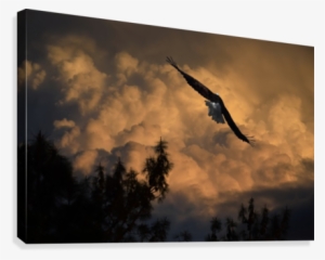 Eagle Flying Into The Storm Canvas Print - Eagle Flying High Above Jagged Rocks #784299