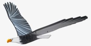 Bald Eagle Mobile - Eagle Mobile #784502
