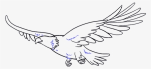 How To Draw Eagle - Drawing #784597