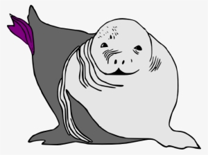 Baby Seal Baby Sea Lion Svg Clip Arts 600 X 449 Px #785184