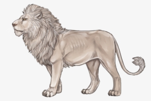 Oldlionday - White Lion Lioden #785423