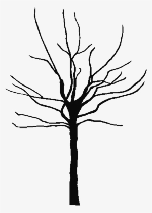 Bare Tree Clipart - Bare Clipart Tree #785521