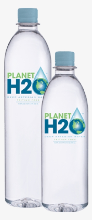 Planet H2o Bottled Water - Planet H2o Natural Artesian 1 Liter Case #785552