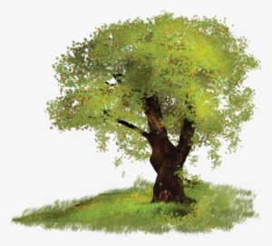 2075280c6bf0a5e1b7e3xl 2816488c10b24d 3398910ba4f4e12376fdl - Parent 50th Wedding Anniversary #785669