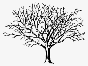 19 Bare Black And White Download Leaves Huge Freebie - Big Black And White Tree #785673