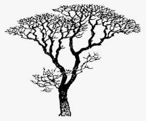 Larger Winter Tree Clip Art - Tree Drawing Black And White #785702