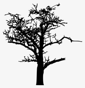 18 Bare Tree Silhouette Vol - Portable Network Graphics #785727