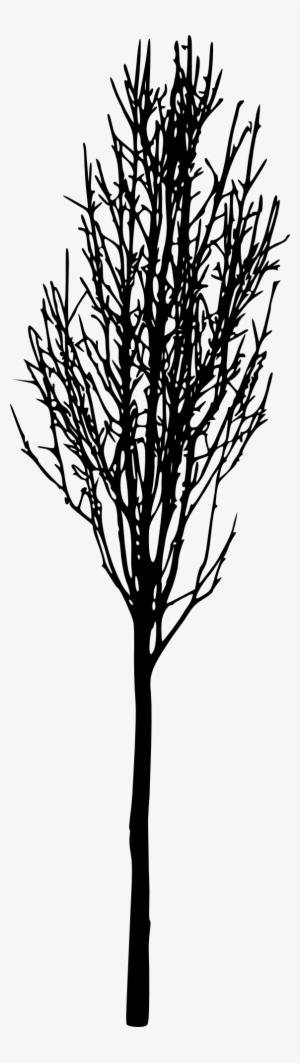 12 Simple Bare Tree Silhouettes - Portable Network Graphics #785834