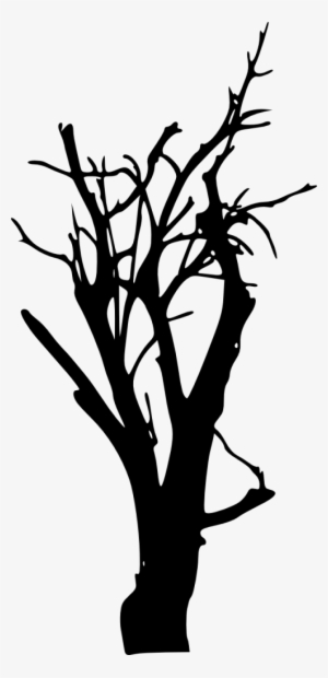 Free Png Bare Tree Silhouette Png Images Transparent - Portable Network Graphics #786120