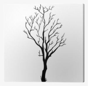 Vector Black Silhouette Of A Bare Tree Canvas Print - Bare Tree Branch Vector #786141