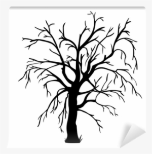 Vector Black Silhouette Of A Bare Tree Wall Mural • - Tree #786279