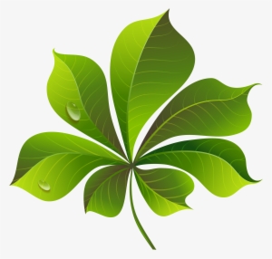 Green Leaf Png #787313