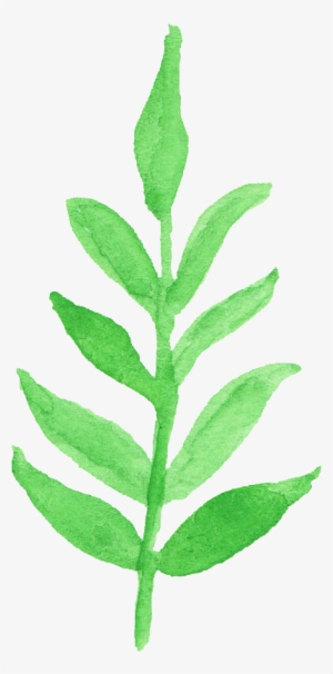 Free Download - Watercolor Leaf Transparent #787600