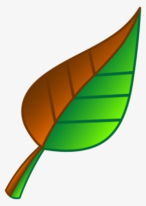 Green Clipart Falling Leaves - Green And Brown Leaf #788025