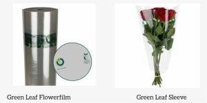 Green Leaf - Product #788336