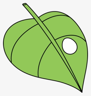 Butterfly Egg On A Leaf - Caterpillar Egg On A Leaf #788459