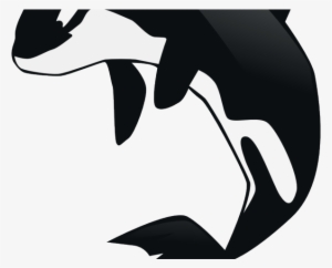 Share - Orca Clip Art #788506
