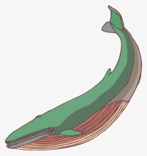 Baby Whale Clip Art Free Clipart Images - Whale Clipart #788797