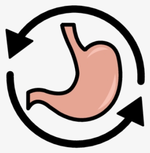 As Teachers, Our Goal Is To Assist The Students In - Disability #789006