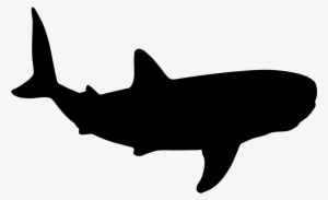 Shark Shape Svg Png - Shark Shape Png #789009
