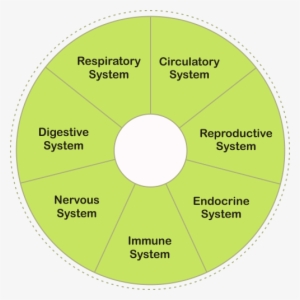 Health Benefits - Ontario Ginseng Growers Assn #789632