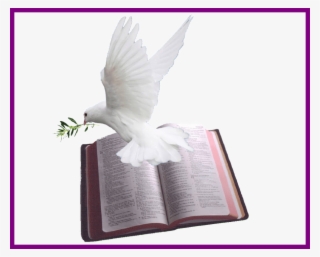 908 X 732 16 - Dove And Bible Png #7800214