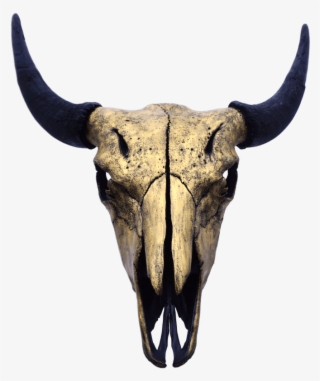 Gold Bison Skull - Bison Skull Png #7800424