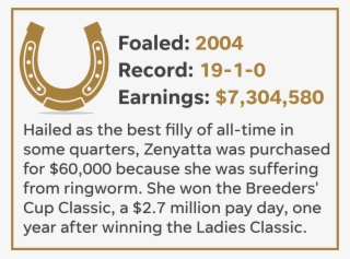 Spectacular Bid - Circle #7800697