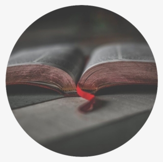 Open Bible - Bible #7800756