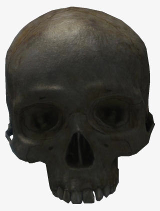 Skull #7800892