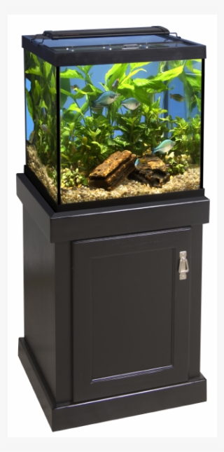 29 Gallon Cube Tank #7801304